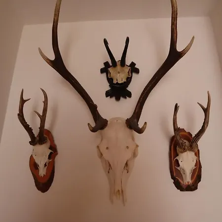 Landhaus-appartements Warraich Schladming