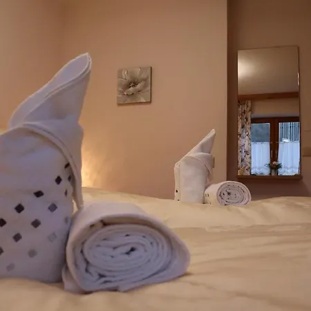 Landhaus-appartements Warraich Schladming