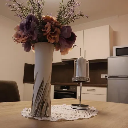 Landhaus-appartements Warraich * שלאדמינג