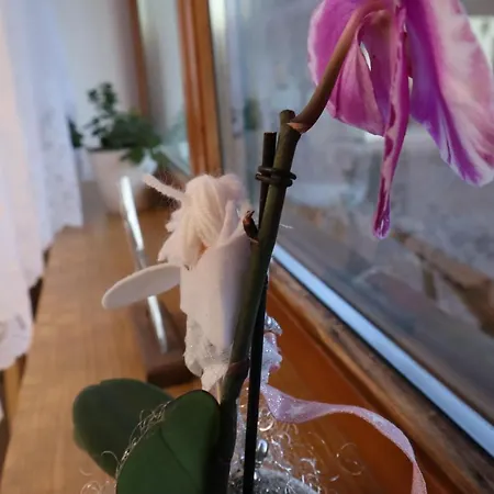 Landhaus-appartements Warraich Apartmán *