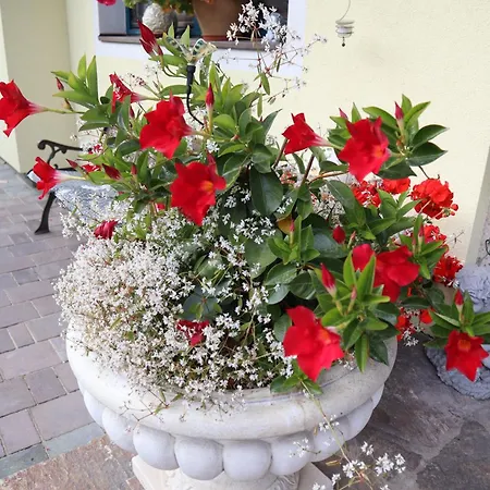 Landhaus-appartements Warraich * Schladming