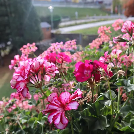 Landhaus-appartements Warraich Apartment Schladming