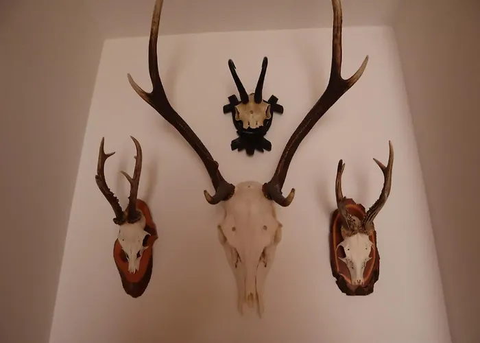 Landhaus-appartements Warraich Schladming