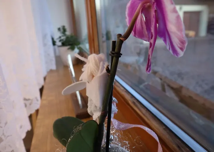 Landhaus-appartements Warraich 公寓 *