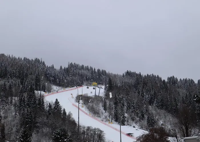 Landhaus-appartements Warraich 公寓 斯拉德明