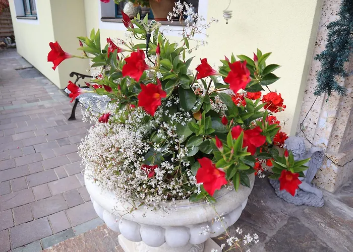 Landhaus-appartements Warraich * 斯拉德明