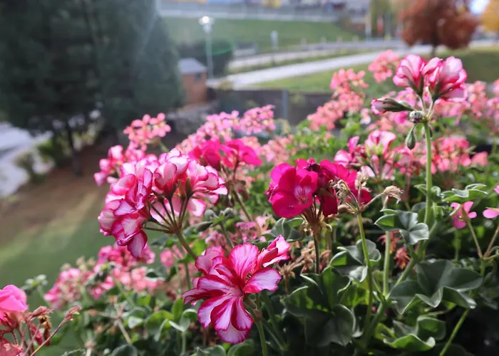 Landhaus-appartements Warraich 公寓 斯拉德明